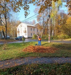 Сезонная работа