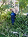 Сухостой убрали со дворов