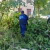 Сухостой убрали со дворов Сухостой убрали со дворов