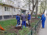 К лету готовы