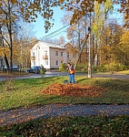 Сезонная работа